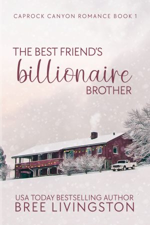 Cover for The Best Friend's Billionaire Brother