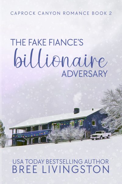 Cover for The Fake Fiance's Billionaire Adversary