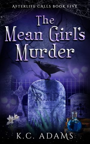 Cover for The Mean Girl's Murder