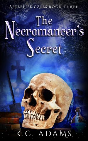 Cover for The Necromancer's Secret