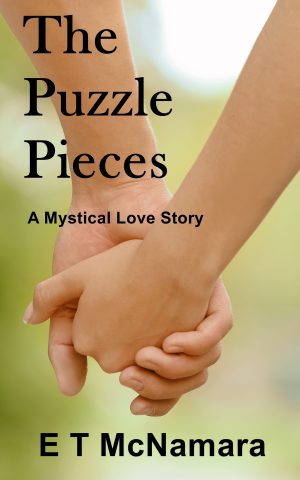 Cover for The Puzzle Pieces