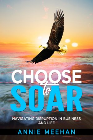 Cover for Choose to Soar
