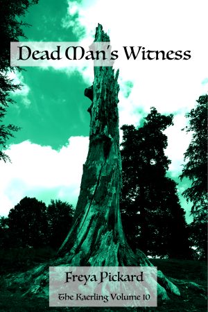 Cover for Dead Man's Witness