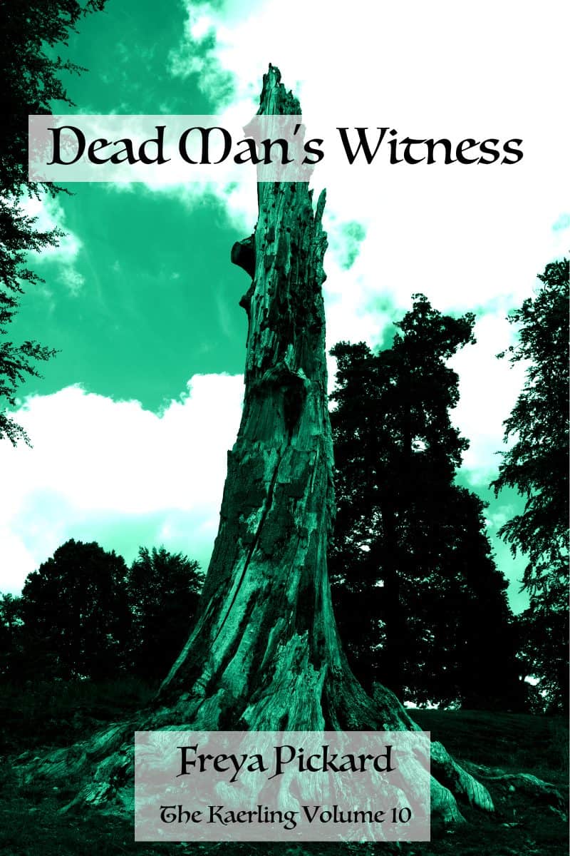 Cover for Dead Man's Witness: Join the Journey today!