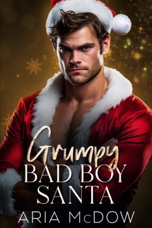 Cover for Grumpy Bad Boy Santa