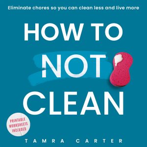 Cover for How to Not Clean