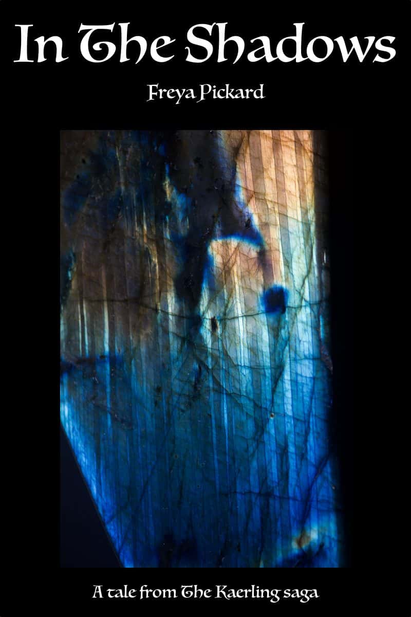 Cover for In the Shadows: A tale from The Kaerling saga