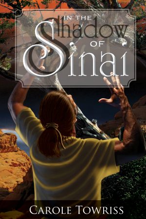 Cover for In the Shadow of Sinai