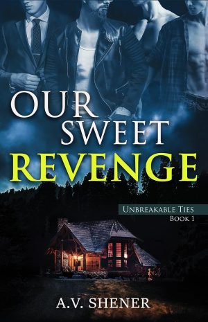 Cover for Our Sweet Revenge