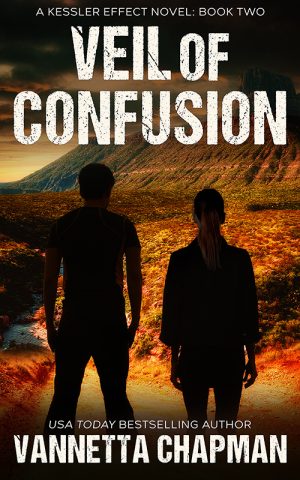 Cover for Veil of Confusion