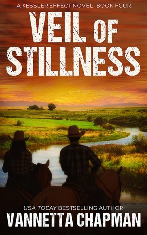 Cover for Veil of Stillness