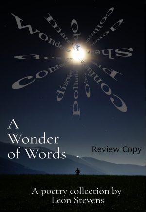 Cover for A Wonder of Words