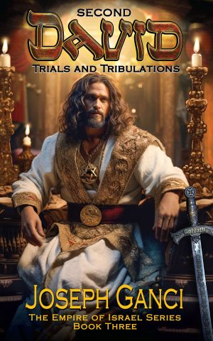 Cover for Second David Trials and Tribulation