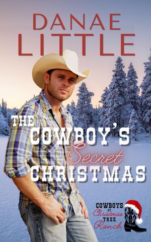 Cover for The Cowboy's Secret Christmas