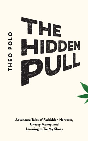 Cover for The Hidden Pull
