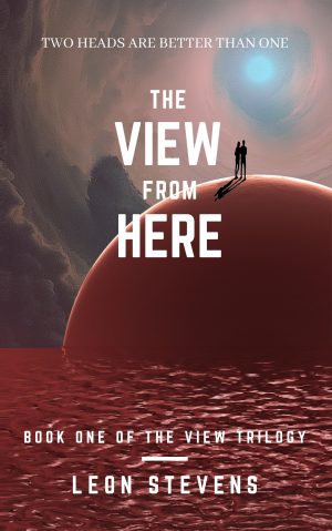 Cover for The View from Here