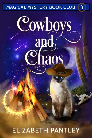 Cover for Cowboys and Chaos