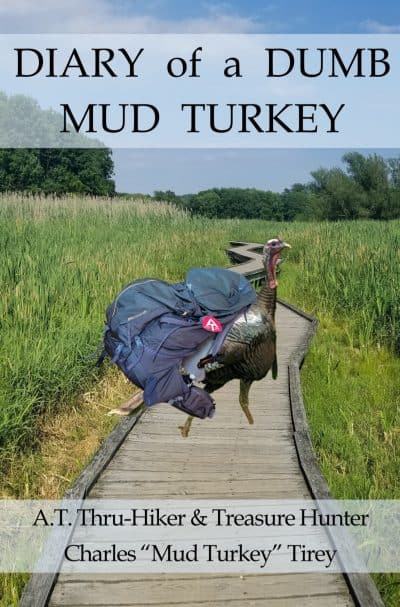Cover for Diary of a Dumb Mud Turkey
