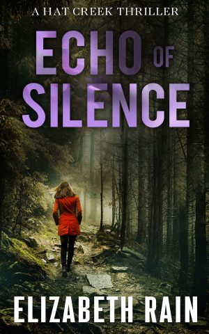 Cover for Echo of Silence