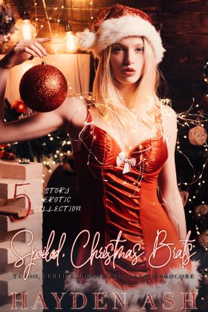 Cover for Spoiled Christmas Brats: 5 Story Bundle