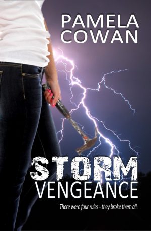 Cover for Storm Vengeance