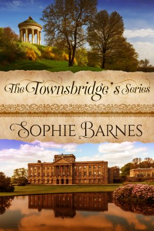 Cover for The Townsbridges