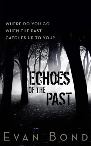 Cover for Echoes of the Past