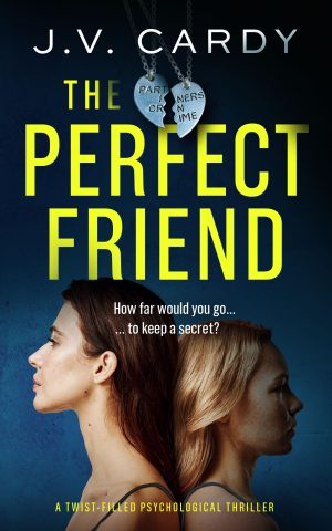 Cover for The Perfect Friend