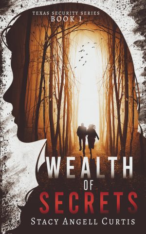 Cover for Wealth of Secrets