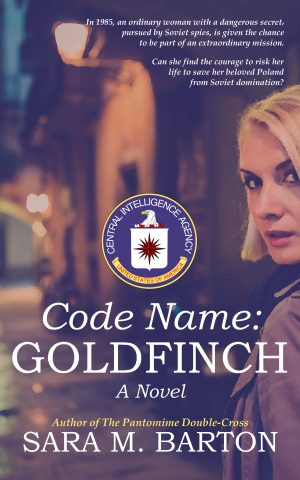 Cover for Code Name: Goldfinch