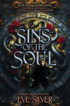 Cover for Sins of the Soul
