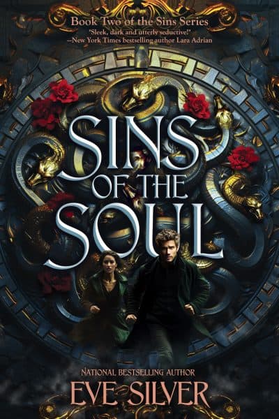 Cover for Sins of the Soul