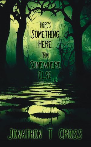 Cover for There's Something Here From Somewhere Else