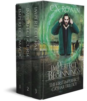 Cover for imPerfect Beginnings