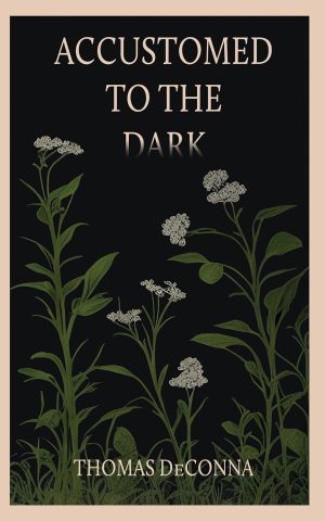 Cover for Accustomed to the Dark