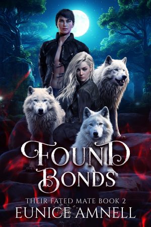 Cover for Found Bonds
