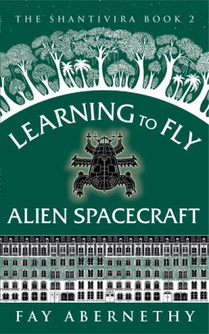 Cover for Learning to Fly Alien Spacecraft