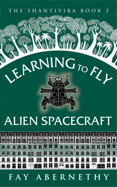 Cover for Learning to Fly Alien Spacecraft