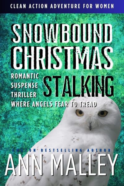 Cover for Snowbound Christmas Stalking
