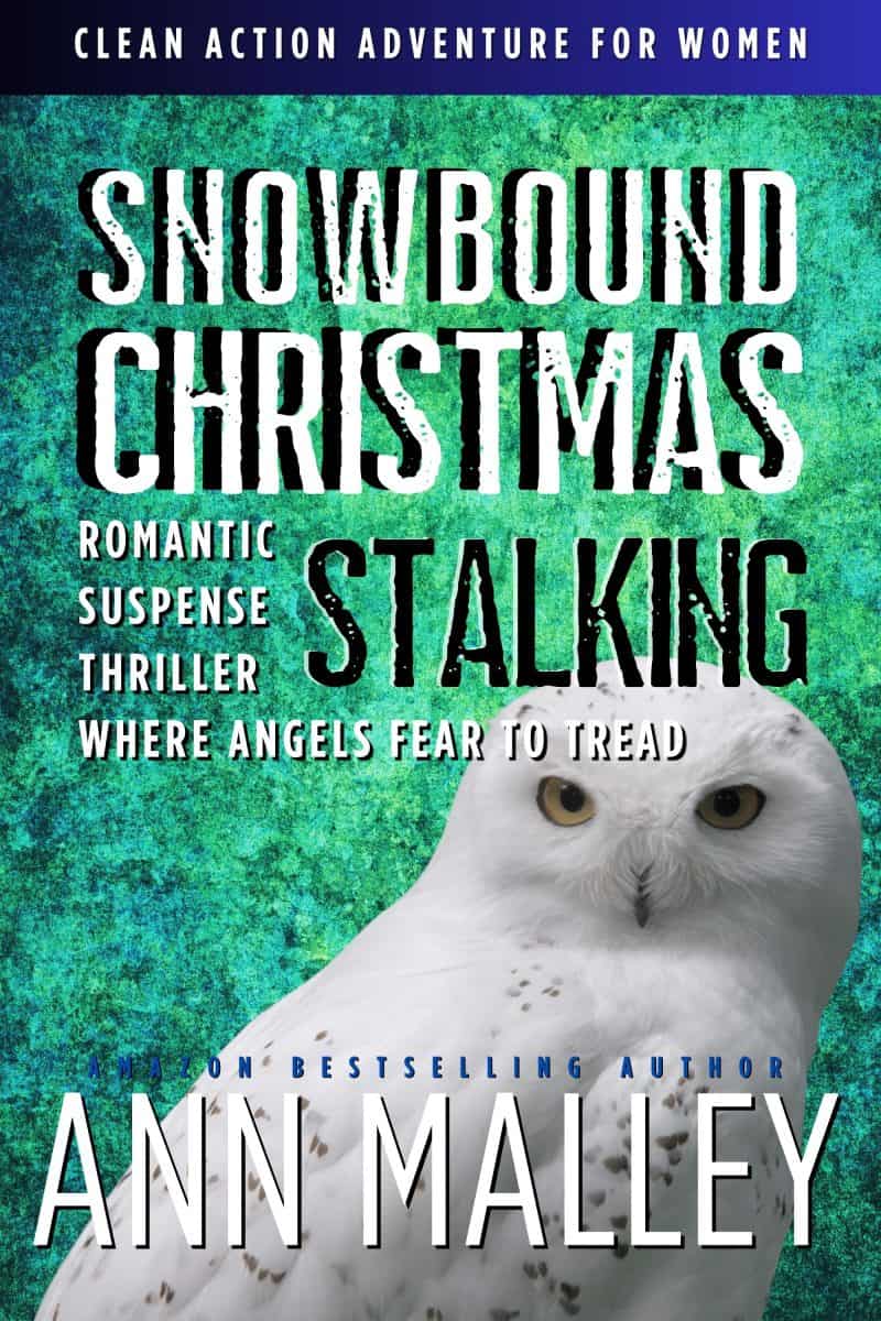 Cover for Snowbound Christmas Stalking: Clean, Supernatural, Romantic Suspense