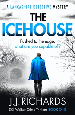 Cover for The Icehouse
