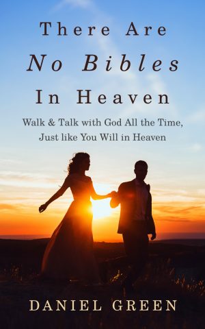 Cover for There Are No Bibles in Heaven
