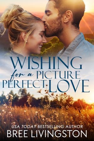 Cover for Wishing for a Picure Perfect Love
