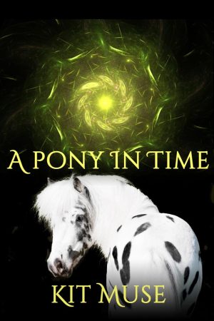 Cover for A Pony In Time