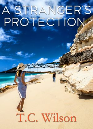 Cover for A Stranger's Protection