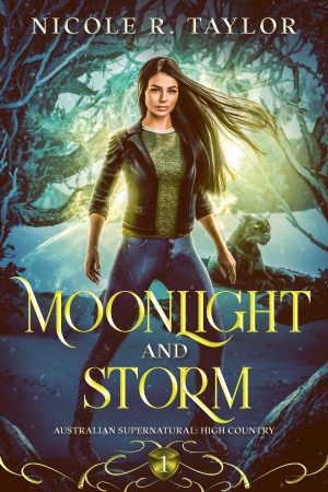 Cover for Moonlight and Storm