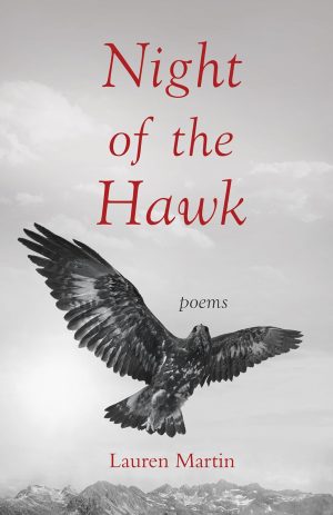 Cover for Night of the Hawk