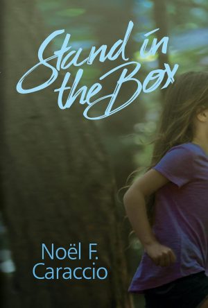 Cover for Stand in the Box