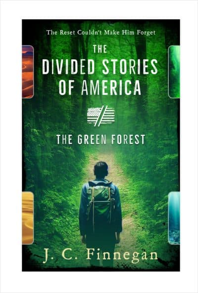 Cover for The Divided Stories of America