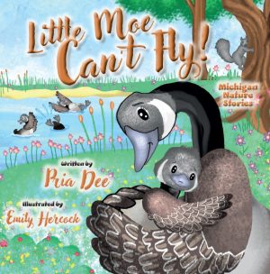 Cover for Little Moe Can't Fly